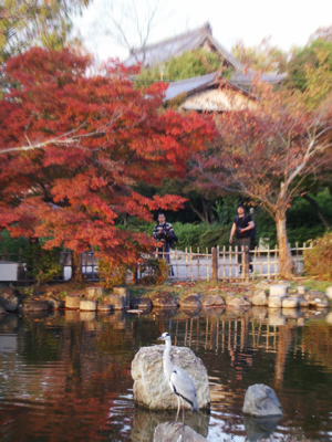 円山公園