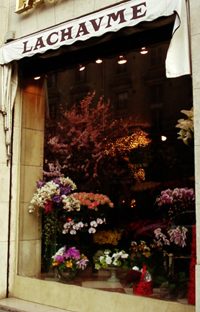 flower.jpg